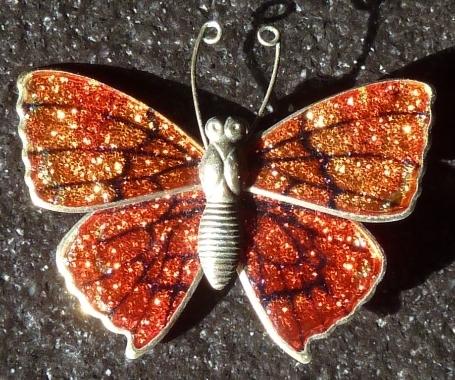 Kleurige vlinder oorbellen